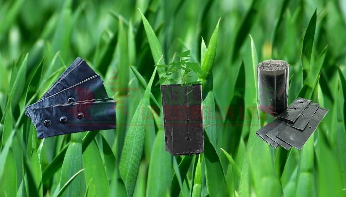 Bolsas-Planta-Show-rs Bolsas-Planta